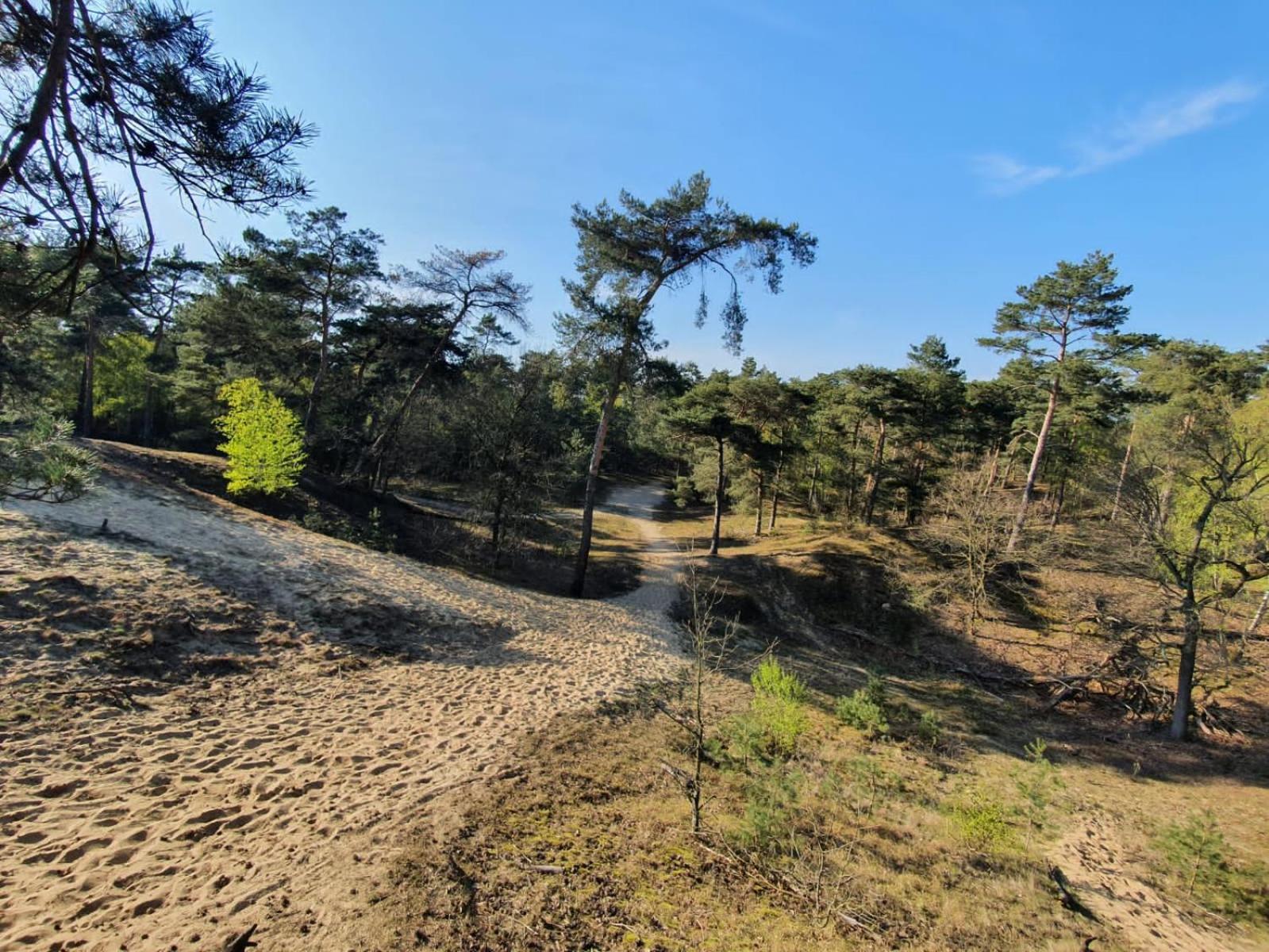 Marduijn Villa Lomm Eksteriør bilde